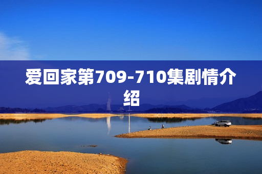 爱回家第709-710集剧情介绍