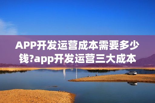 APP开发运营成本需要多少钱?app开发运营三大成本