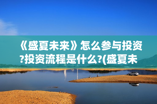 《盛夏未来》怎么参与投资?投资流程是什么?(盛夏未来ts)