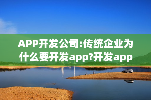 APP开发公司:传统企业为什么要开发app?开发app注意事项