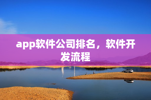 app软件公司排名，软件开发流程