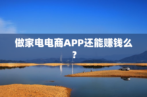 做家电电商APP还能赚钱么？