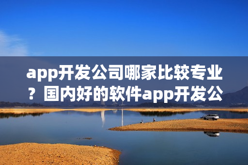 app开发公司哪家比较专业？国内好的软件app开发公司有哪些