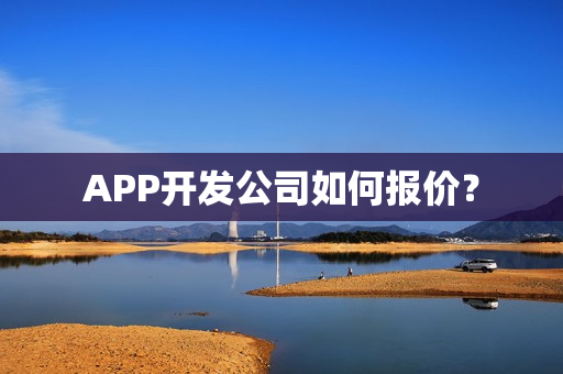 APP开发公司如何报价？
