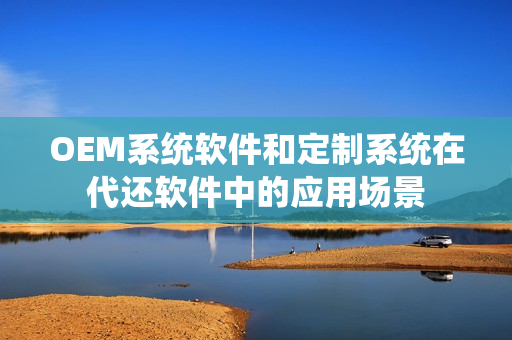 OEM系统软件和定制系统在代还软件中的应用场景