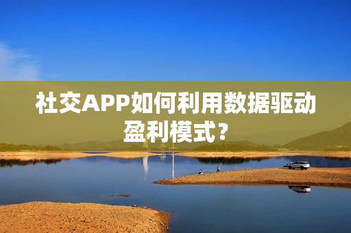 社交APP如何利用数据驱动盈利模式？