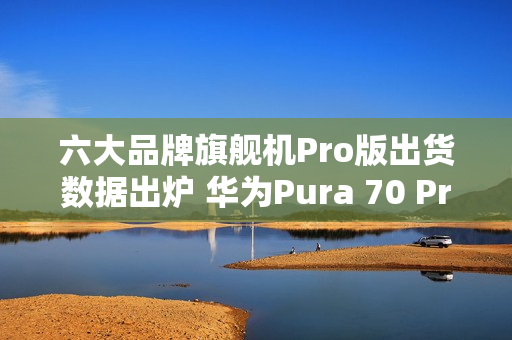 六大品牌旗舰机Pro版出货数据出炉 华为Pura 70 Pro第二