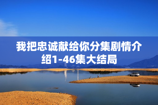 我把忠诚献给你分集剧情介绍1-46集大结局