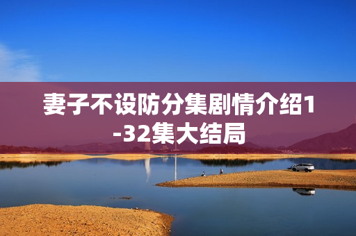 妻子不设防分集剧情介绍1-32集大结局