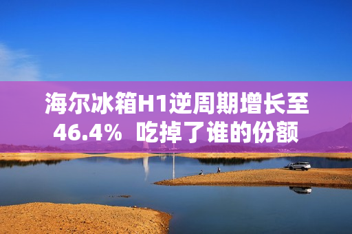 海尔冰箱H1逆周期增长至46.4%  吃掉了谁的份额