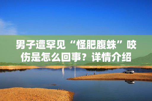 男子遭罕见“怪肥腹蛛”咬伤是怎么回事？详情介绍