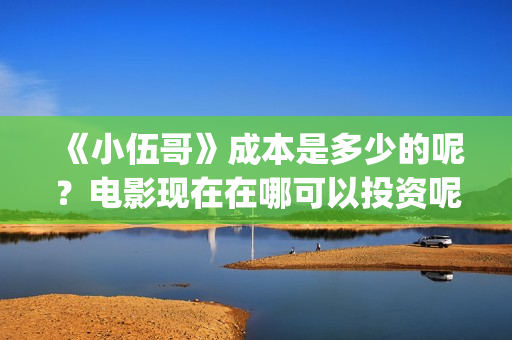 《小伍哥》成本是多少的呢？电影现在在哪可以投资呢？多少起投呢？(小伍哥预计上映时间)
