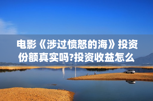电影《涉过愤怒的海》投资份额真实吗?投资收益怎么样?预计多少票房?(电影《涉过愤怒的海》定档)