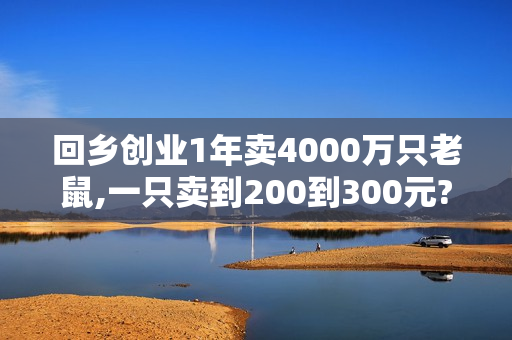回乡创业1年卖4000万只老鼠,一只卖到200到300元?
