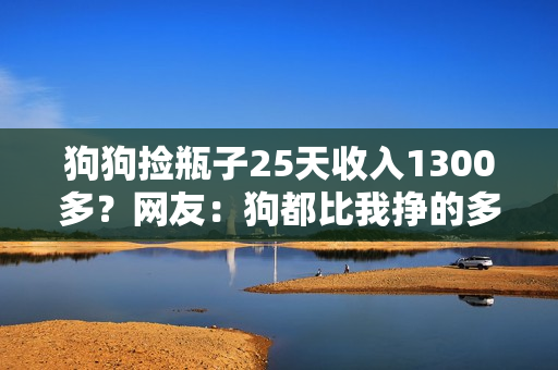 狗狗捡瓶子25天收入1300多？网友：狗都比我挣的多