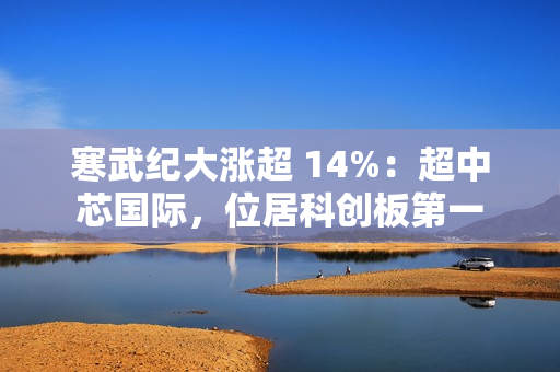 寒武纪大涨超 14%：超中芯国际，位居科创板第一