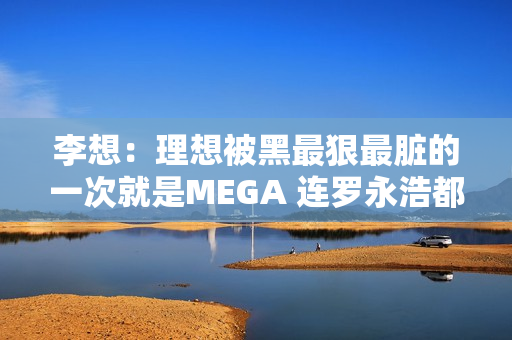 李想：理想被黑最狠最脏的一次就是MEGA 连罗永浩都看不下去了