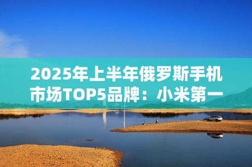 2025年上半年俄罗斯手机市场TOP5品牌：小米第一