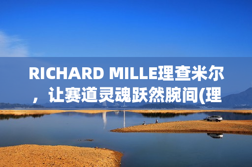 RICHARD MILLE理查米尔，让赛道灵魂跃然腕间(理查029)