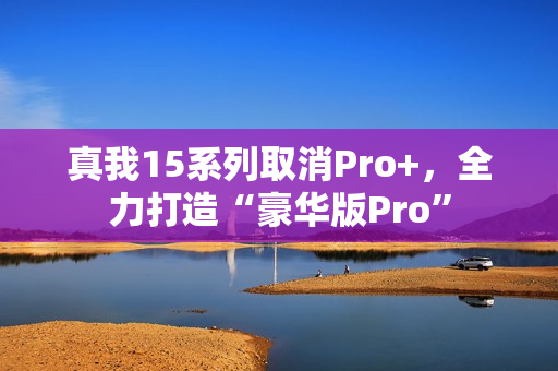 真我15系列取消Pro+，全力打造“豪华版Pro”