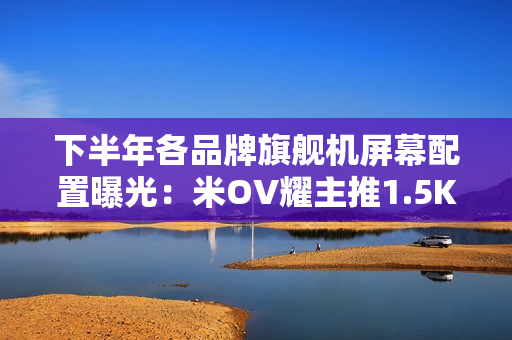 下半年各品牌旗舰机屏幕配置曝光：米OV耀主推1.5K屏