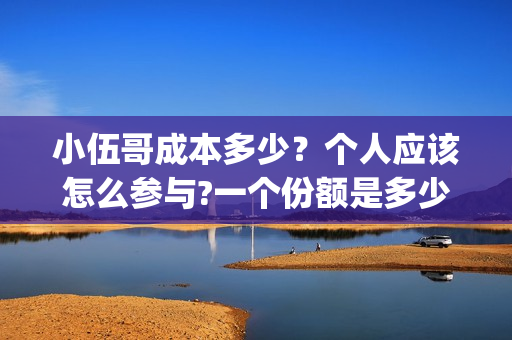 小伍哥成本多少？个人应该怎么参与?一个份额是多少?(网红小伍哥怎么火的)