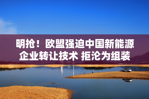 明抢！欧盟强迫中国新能源企业转让技术 拒沦为组装厂：我国升级技术出口限制