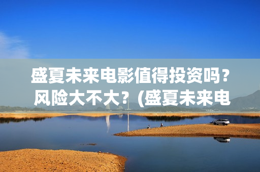 盛夏未来电影值得投资吗？ 风险大不大？(盛夏未来电影简短介绍)