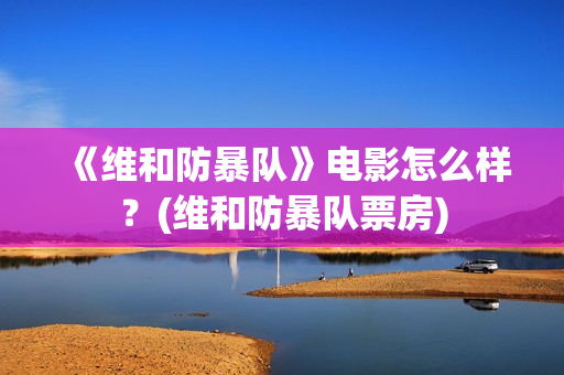 《维和防暴队》电影怎么样？(维和防暴队票房)
