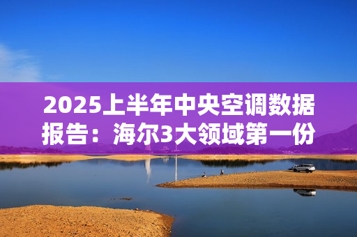 2025上半年中央空调数据报告：海尔3大领域第一份额