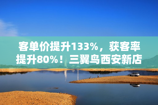 客单价提升133%，获客率提升80%！三翼鸟西安新店一年盘点