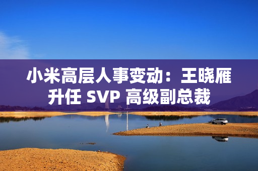 小米高层人事变动：王晓雁升任 SVP 高级副总裁