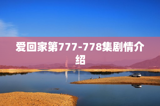 爱回家第777-778集剧情介绍