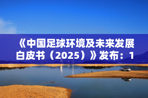 《中国足球环境及未来发展白皮书（2025）》发布：100吋大屏电视成球迷客厅新标配