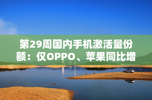 第29周国内手机激活量份额：仅OPPO、苹果同比增长