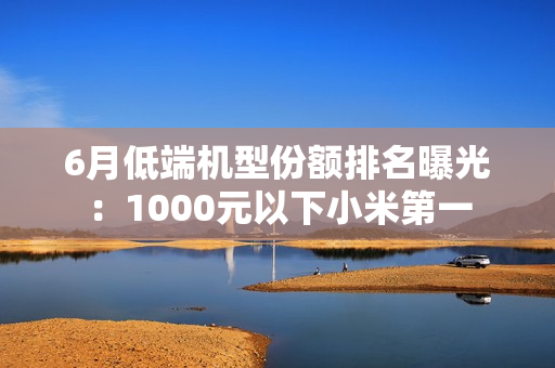 6月低端机型份额排名曝光：1000元以下小米第一