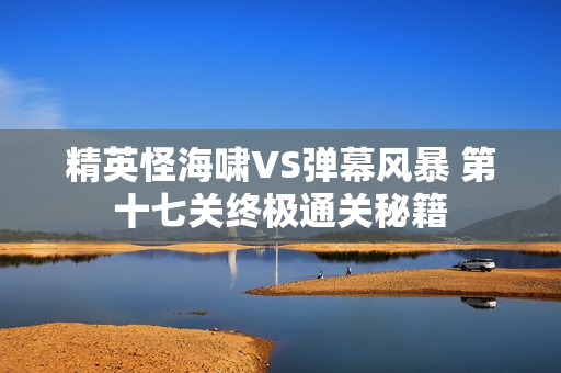 精英怪海啸VS弹幕风暴 第十七关终极通关秘籍