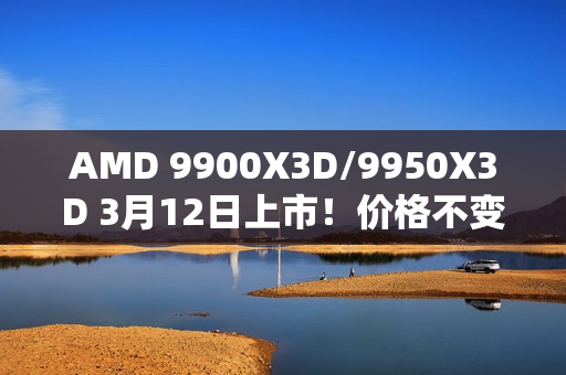 AMD 9900X3D/9950X3D 3月12日上市！价格不变！