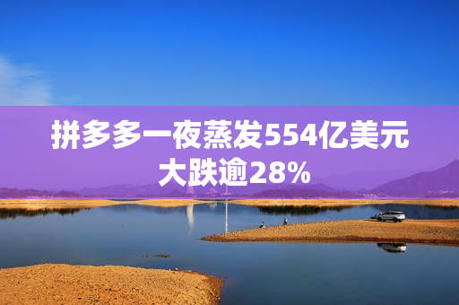 拼多多一夜蒸发554亿美元 大跌逾28%
