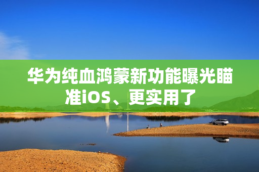 华为纯血鸿蒙新功能曝光瞄准iOS、更实用了