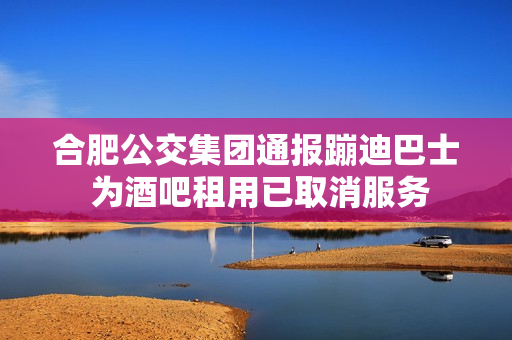 合肥公交集团通报蹦迪巴士 为酒吧租用已取消服务