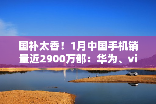 国补太香！1月中国手机销量近2900万部：华为、vivo、小米前三