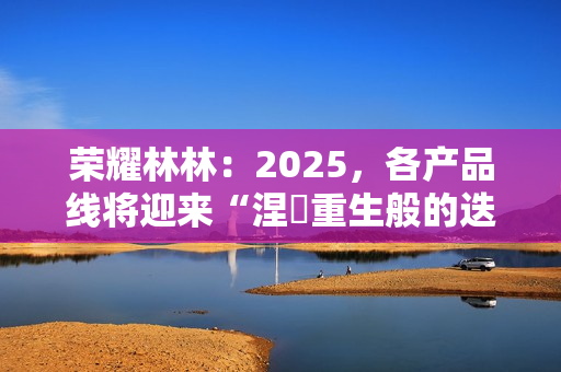 荣耀林林：2025，各产品线将迎来“涅槃重生般的迭代”