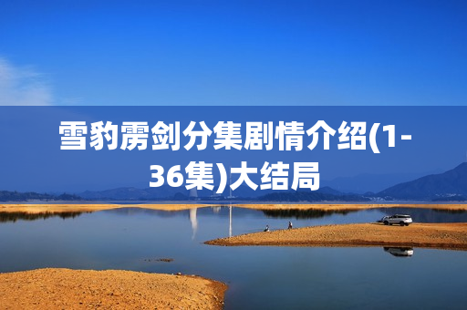 雪豹雳剑分集剧情介绍(1-36集)大结局