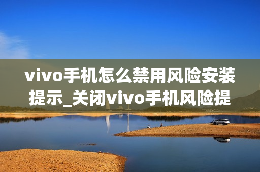 vivo手机怎么禁用风险安装提示_关闭vivo手机风险提示安装方法