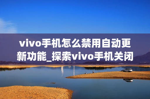 vivo手机怎么禁用自动更新功能_探索vivo手机关闭系统自动更新的多种方法
