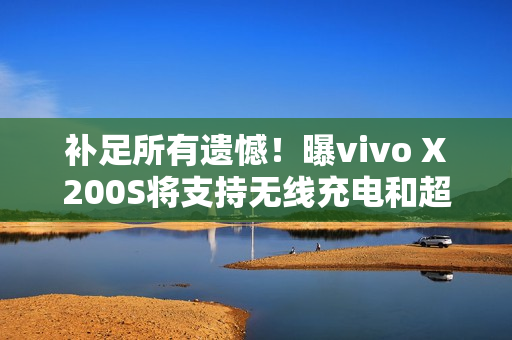 补足所有遗憾！曝vivo X200S将支持无线充电和超声波指纹