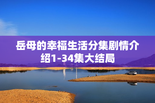 岳母的幸福生活分集剧情介绍1-34集大结局
