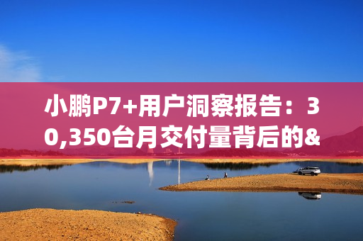 小鹏P7+用户洞察报告：30,350台月交付量背后的"油智同价"革命