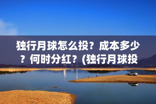 独行月球怎么投？成本多少？何时分红？(独行月球投资方)